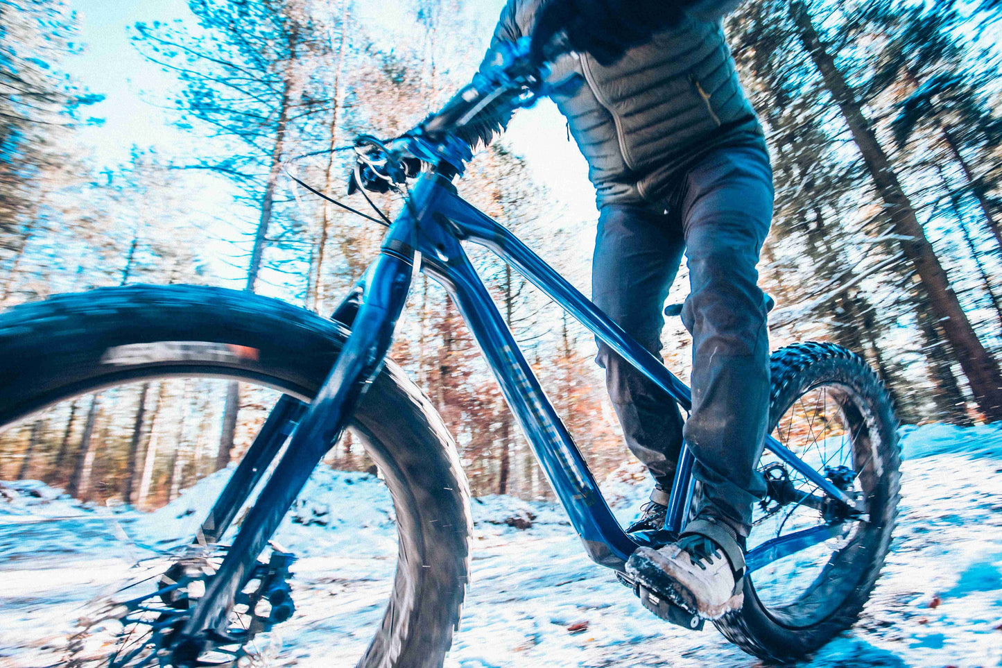 Carbon Gearbox Fat Bike