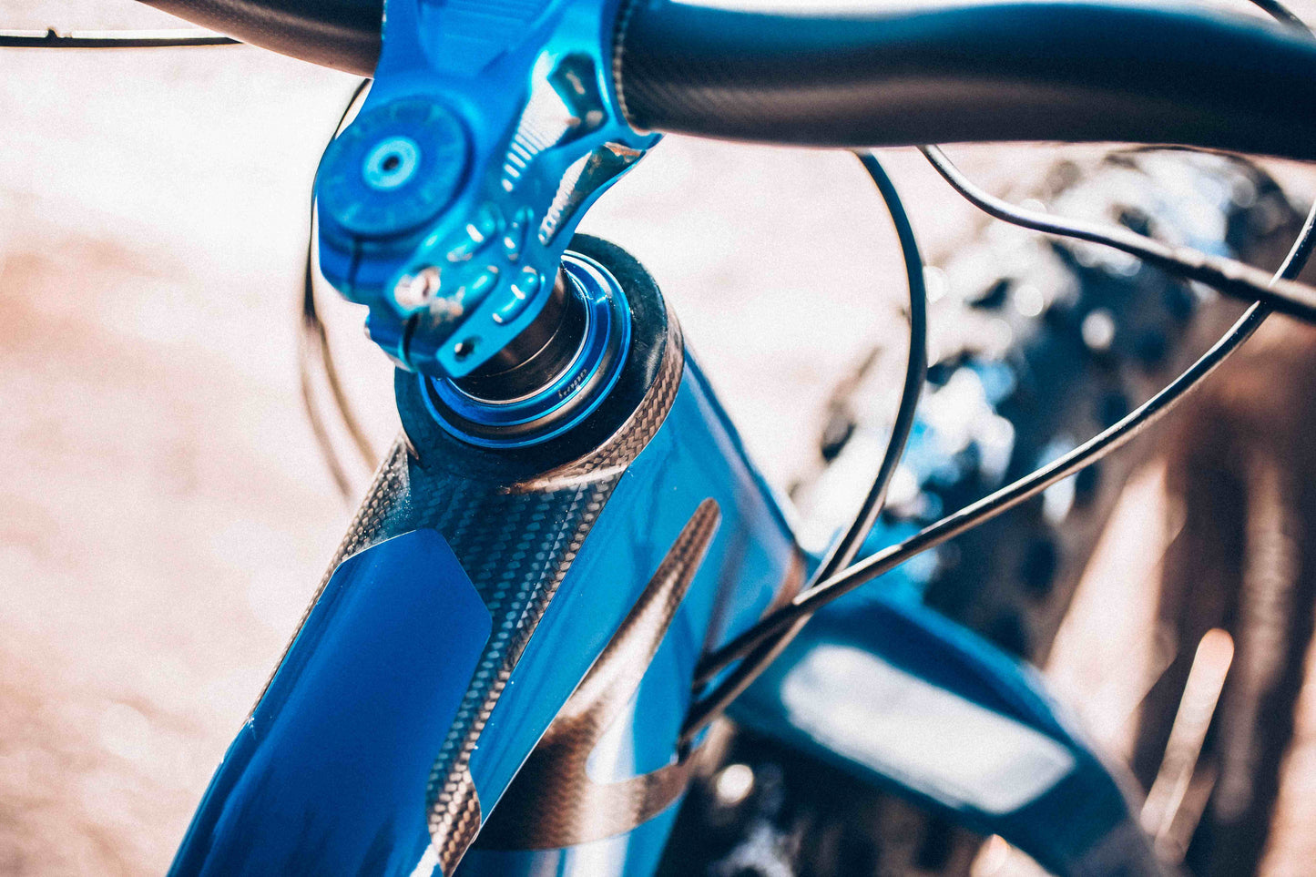 Carbon Gearbox Fat Bike