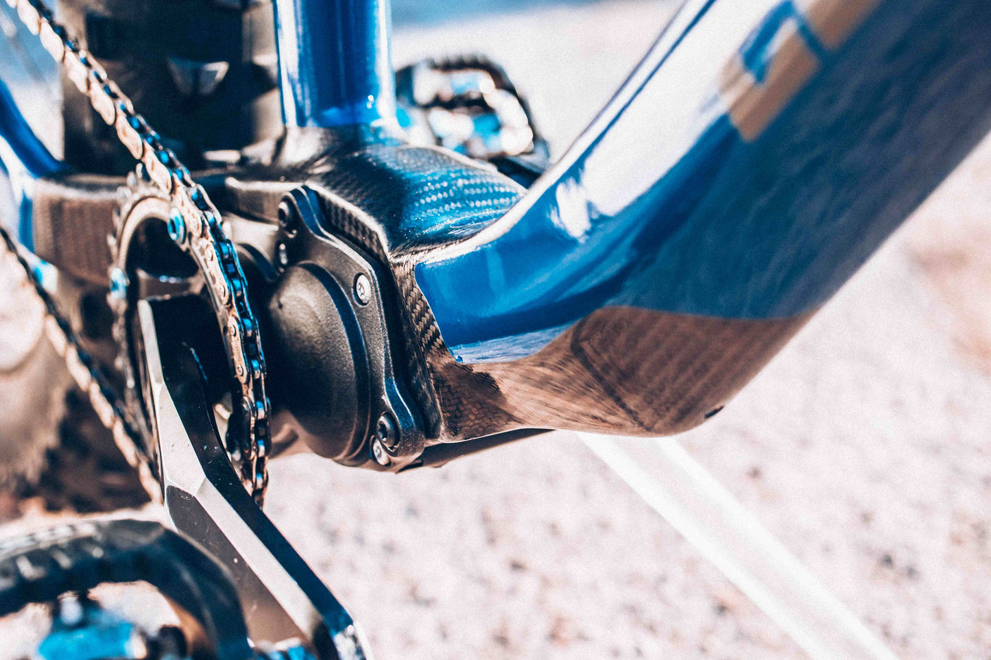 Carbon Gearbox Fat Bike