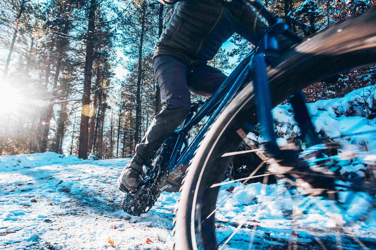 Carbon Gearbox Fat Bike