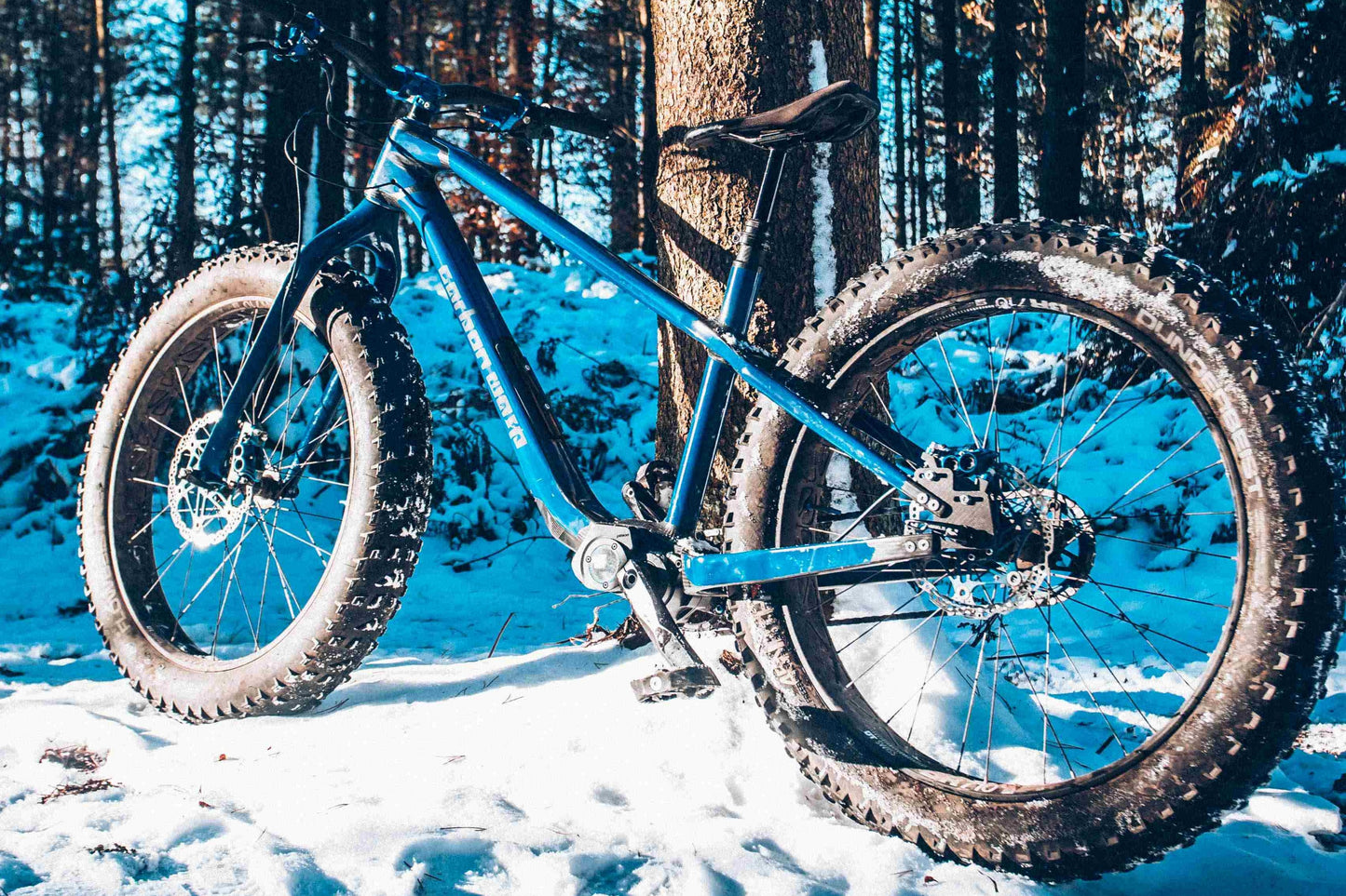 Carbon Gearbox Fat Bike