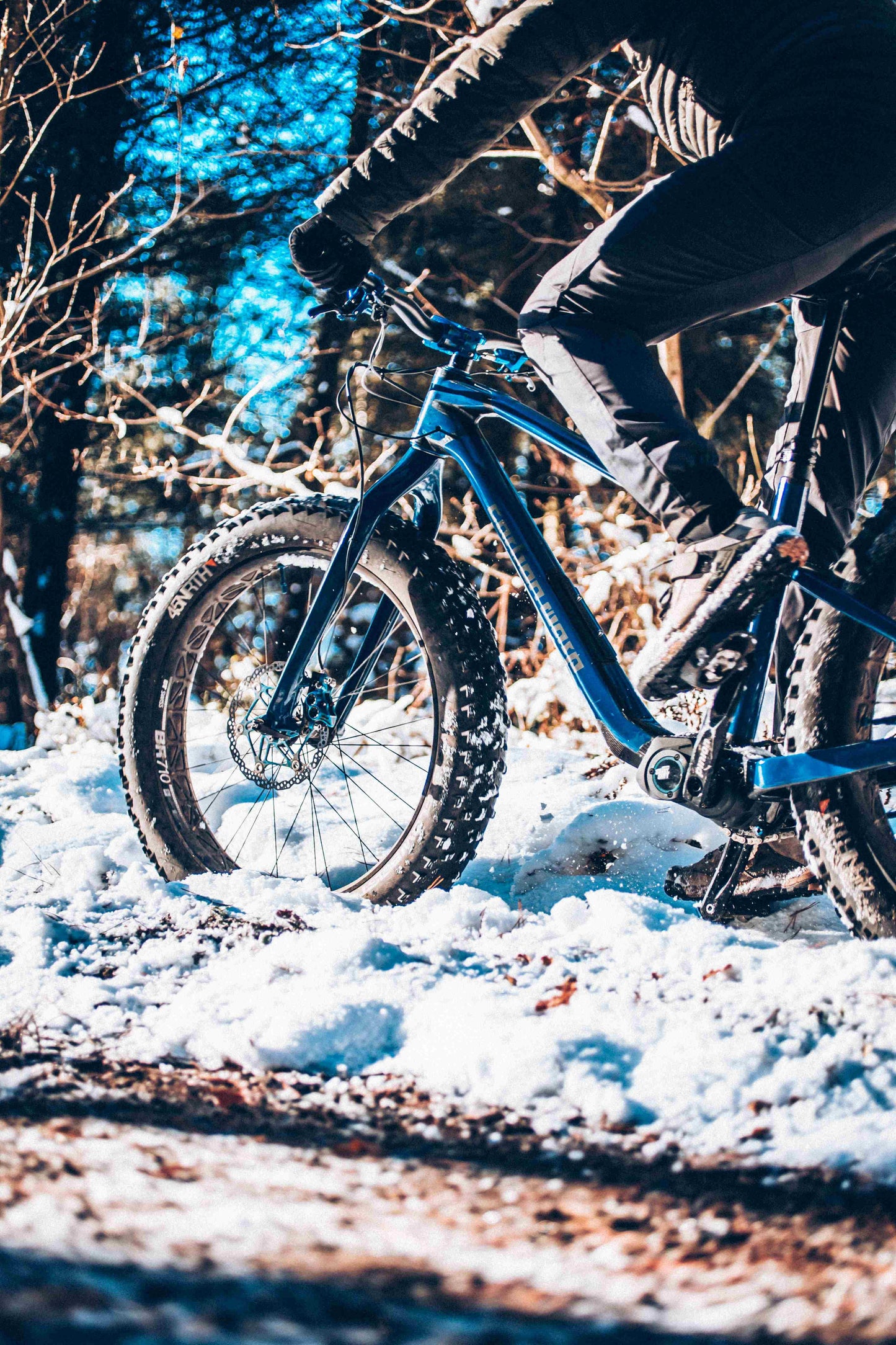Carbon Gearbox Fat Bike