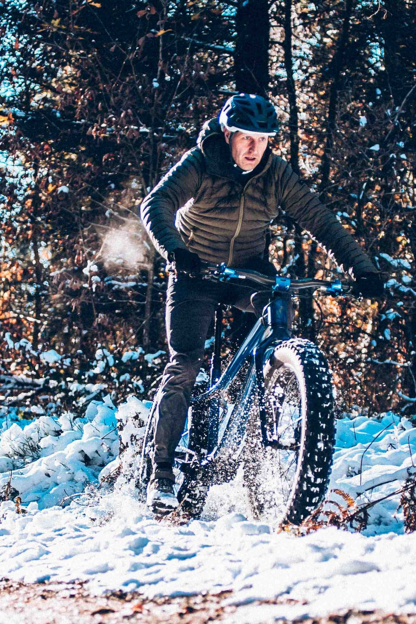 Carbon Gearbox Fat Bike