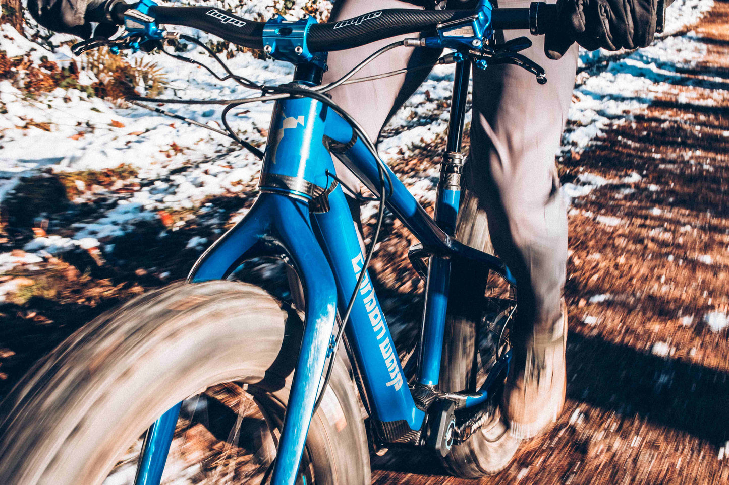 Carbon Gearbox Fat Bike