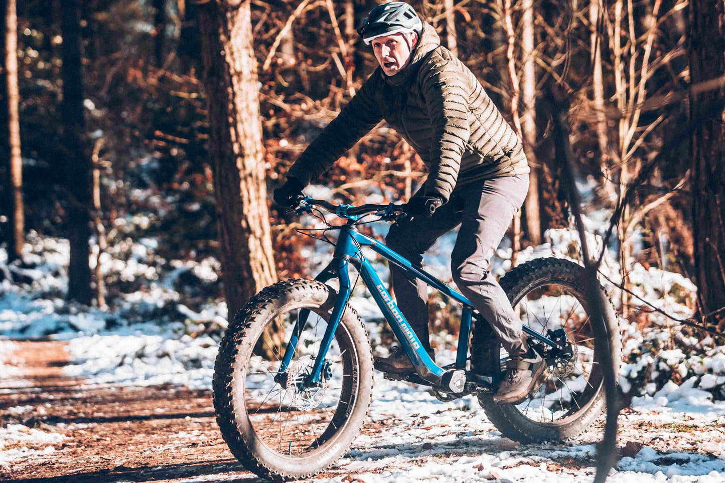Carbon Gearbox Fat Bike