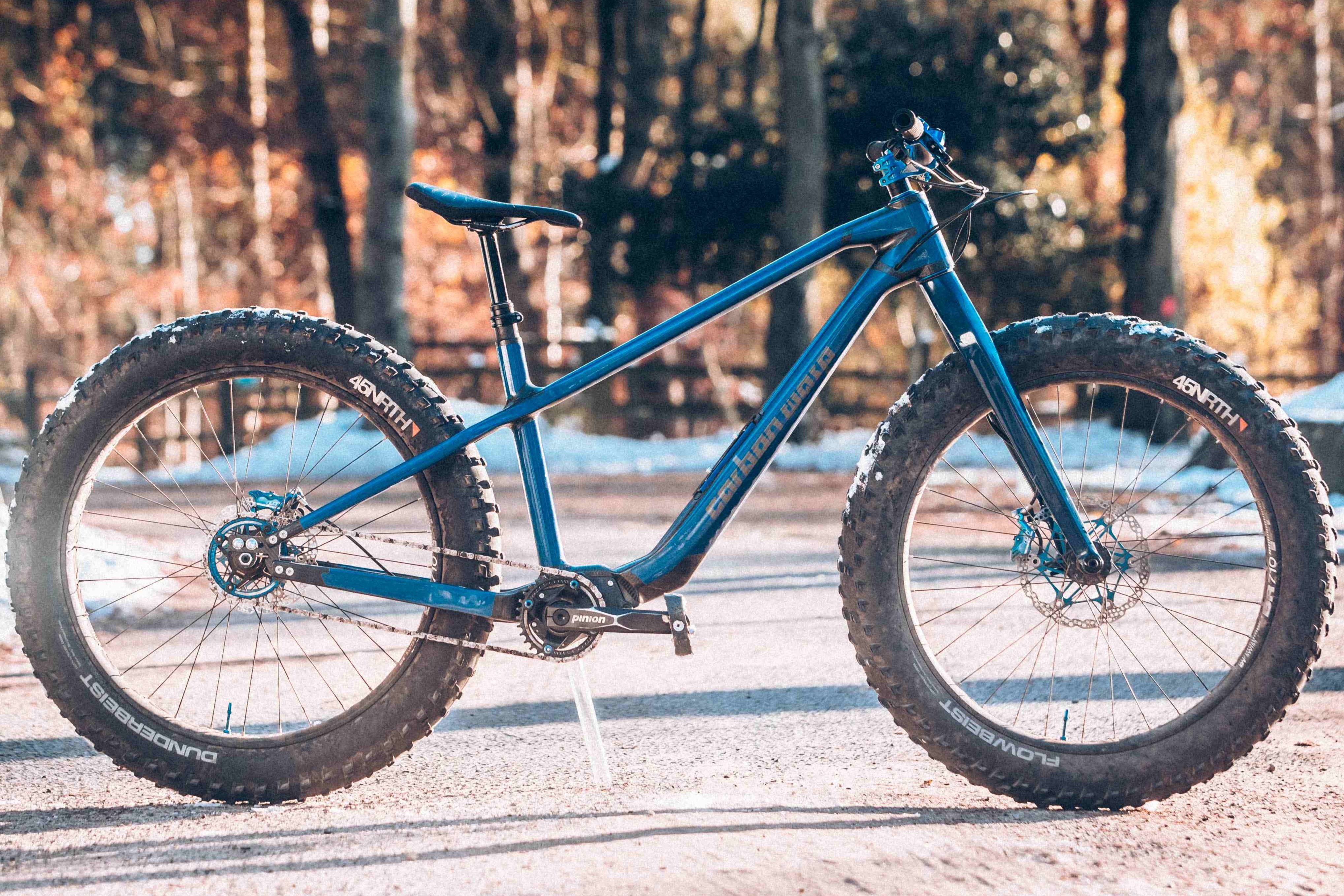 Carbon Gearbox Fat Bike