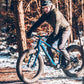 Carbon Gearbox Fat Bike