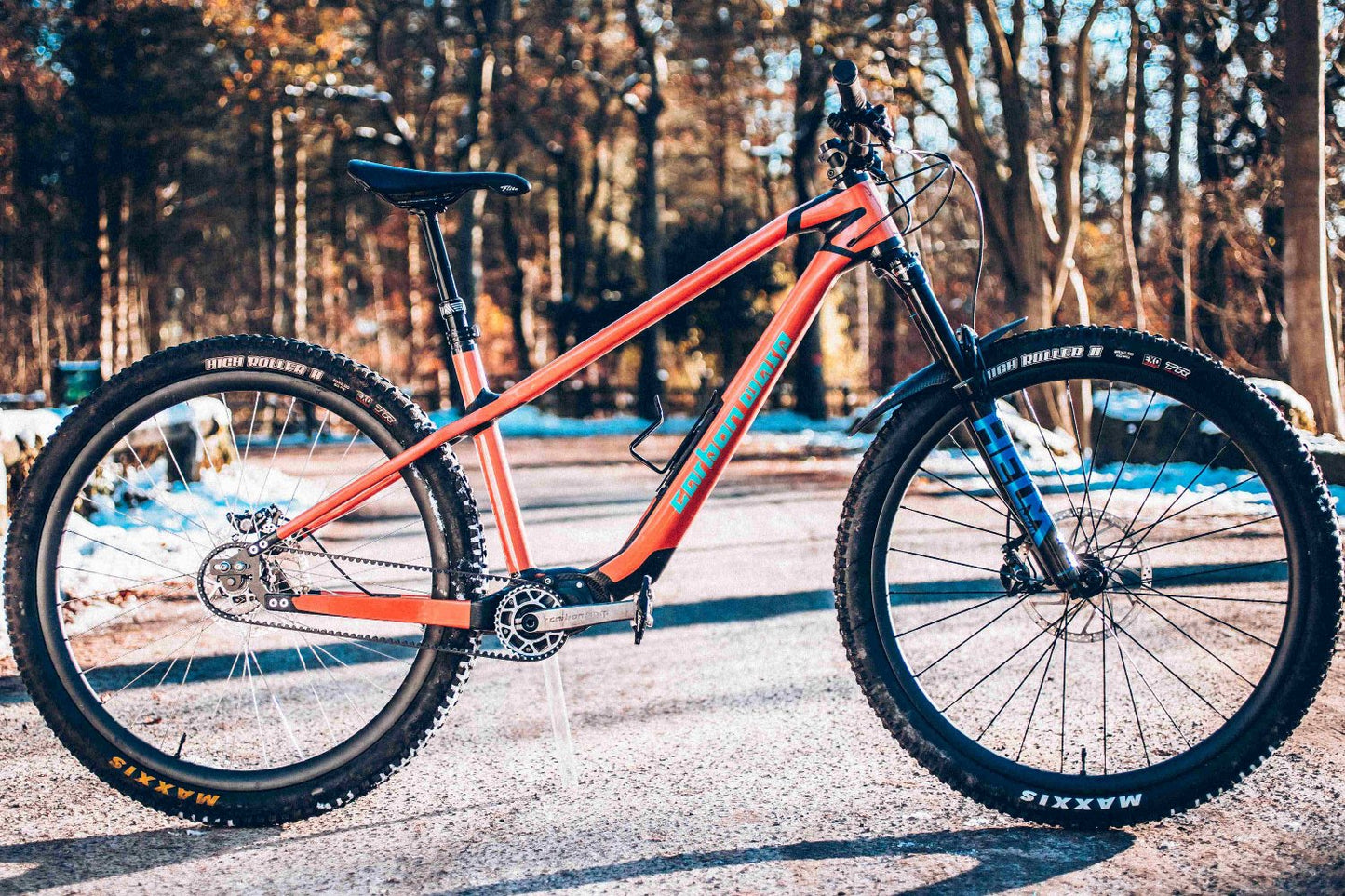 Carbon Gearbox Hardtail