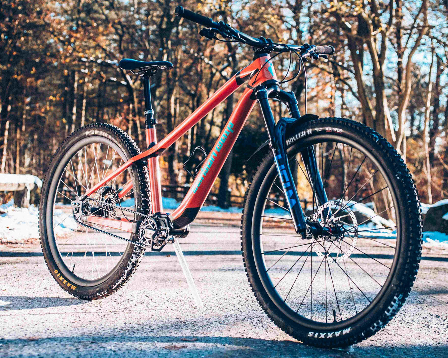 Carbon Gearbox Hardtail