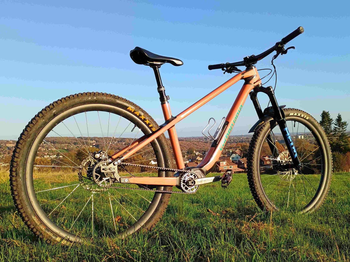 Carbon Gearbox Hardtail